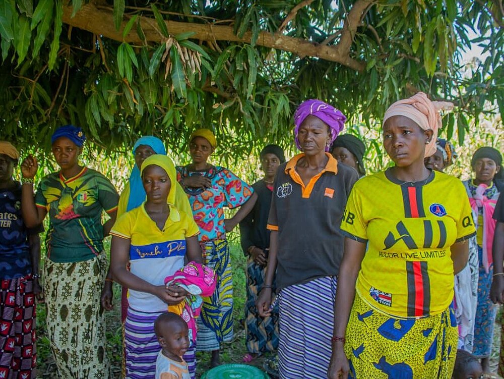 [Translate to Français:] 